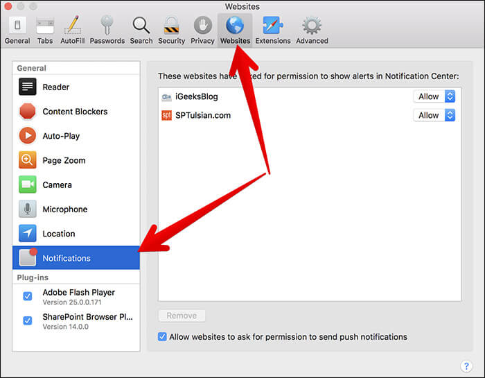 Click on Websites Tab then Click on Notifications in Safari