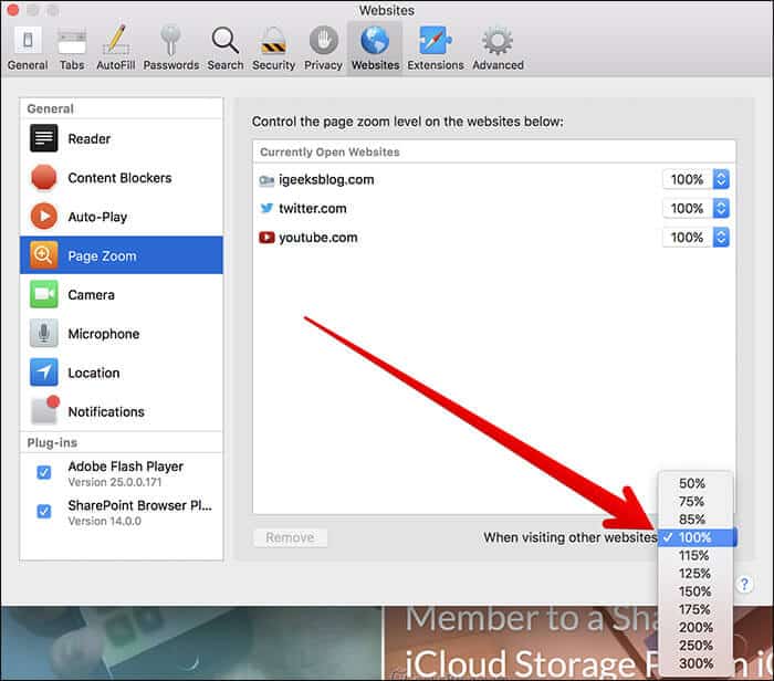 Customize Page Zoom in Safari on Mac