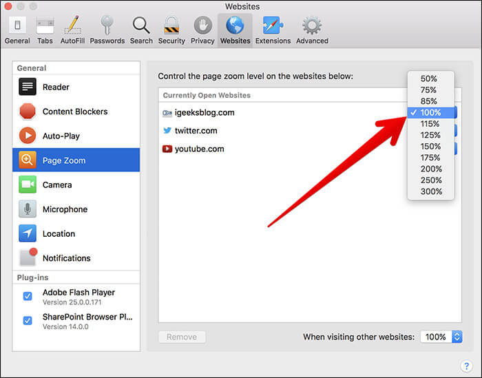 Zoom Currently Open Website in Safari on Mac