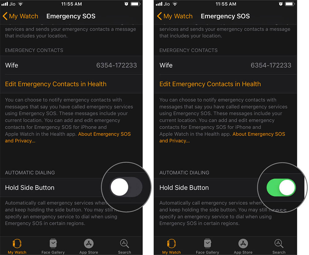 Toggle Hold Side Button to ON in Apple Watch App