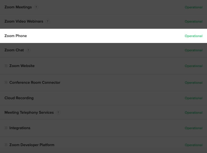 Check Zoom Servers for iPhone