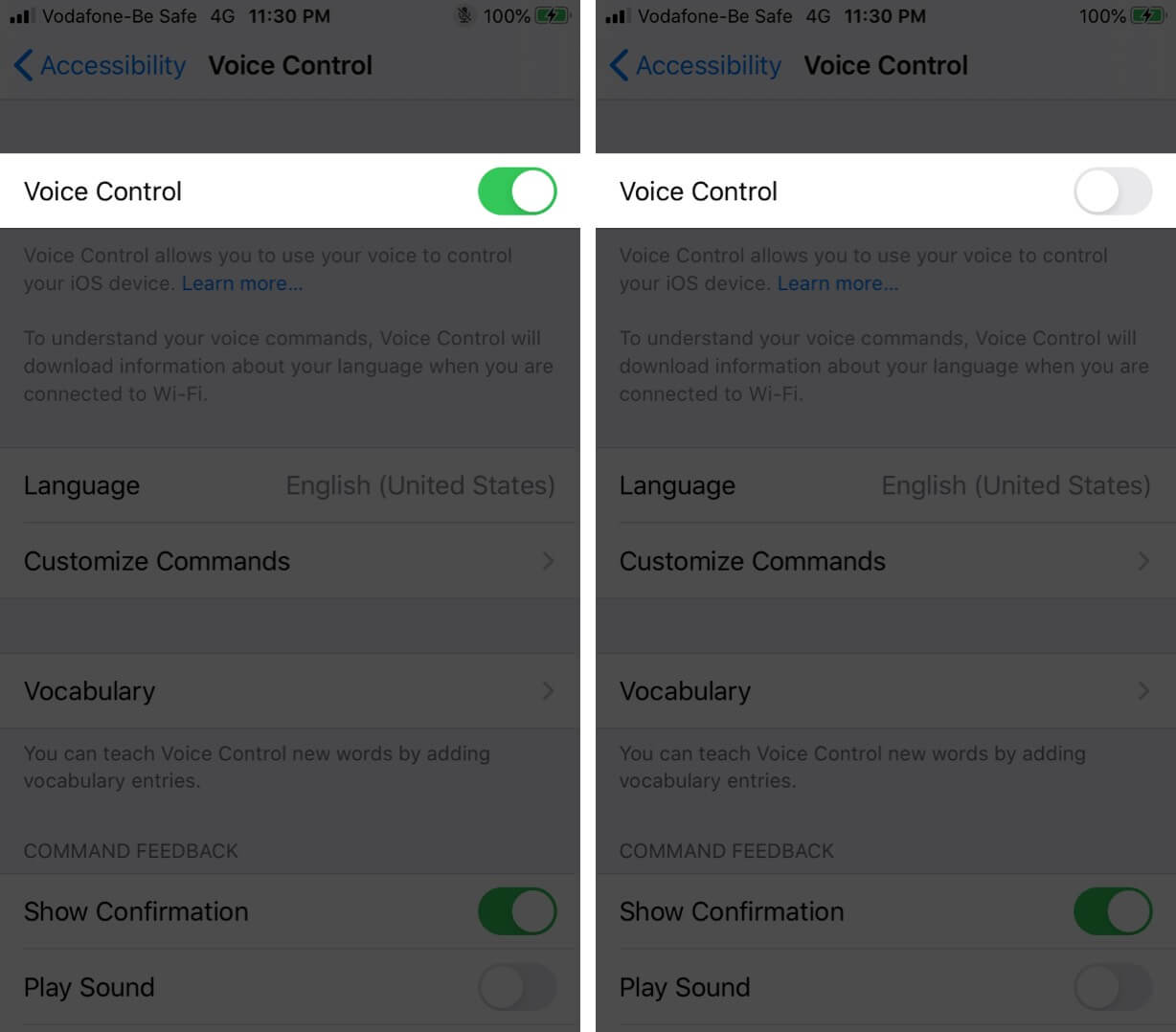 Turn Off Voice Control on iPhone
