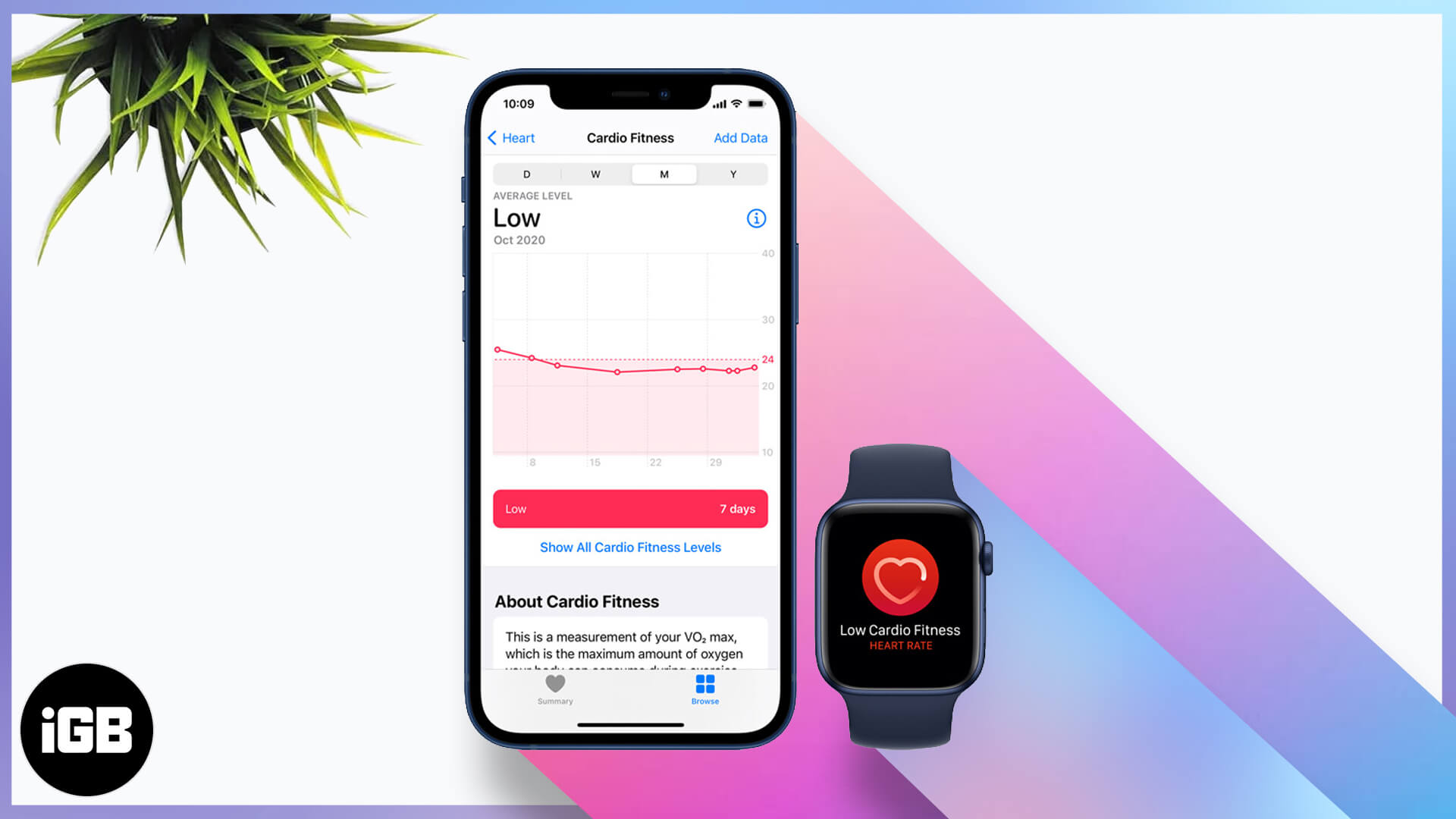 How to use cardio fitness on iphone and apple watch