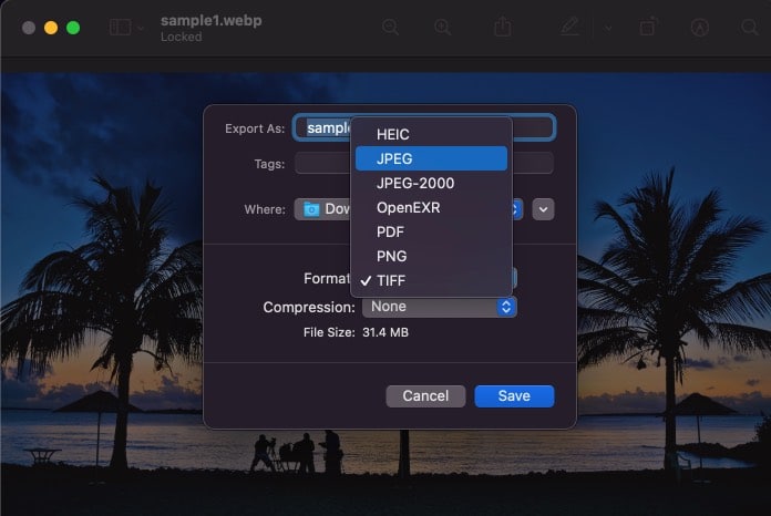 Plenty of image format options in Preview on Mac