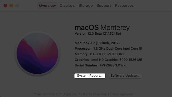 Click on System InformationReport on Mac