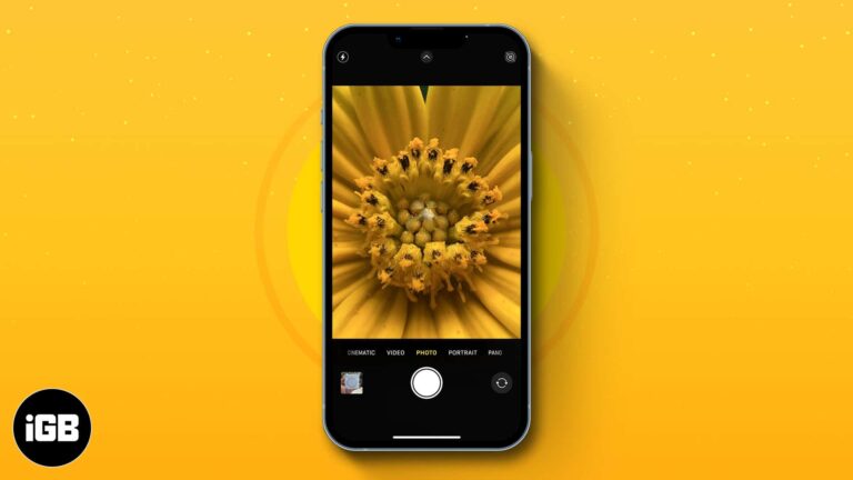How to take macro photos and videos on iphone 13 pro models