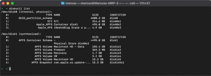 Enter the command diskutil list to display your HDD or SSD partitions