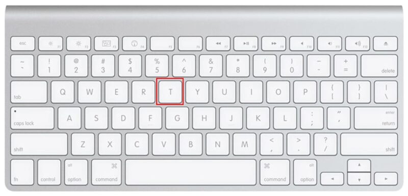 Press and Hold T on a MacBook while restarting