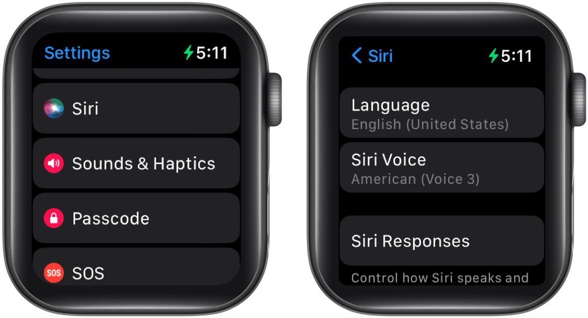 How to change Apple Maps voice on Apple Watch