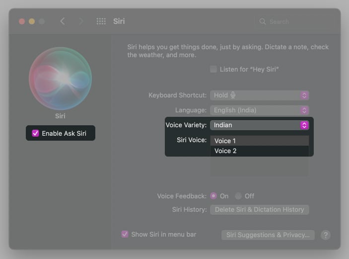 How to change Apple Maps voice on Mac