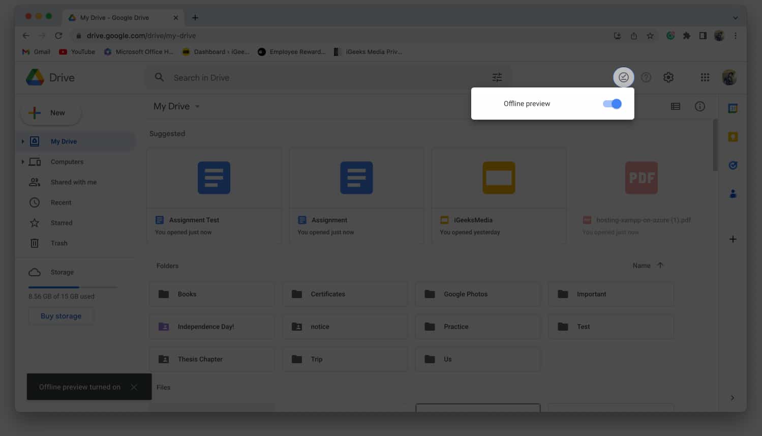 Enable offline preview of files on Mac