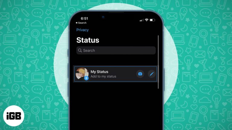 How to use WhatsApp Status on iPhone.