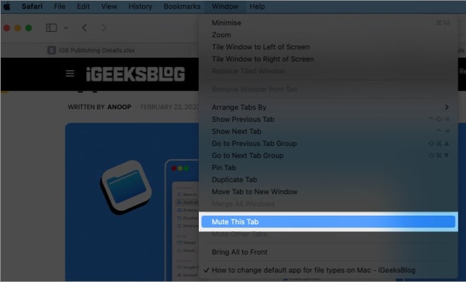 Open Window in the menu bar and choose Mute This Tab