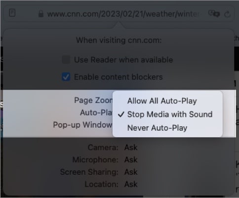 drop down menu to the right of Auto Play