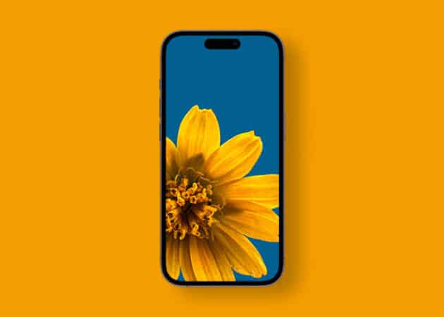 iPhone macro photography wallpaper