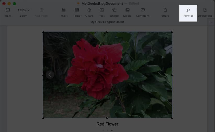 Click the Format button for additional options depending of image you add