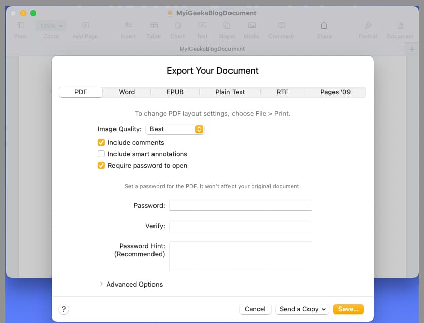 Save with password protection
