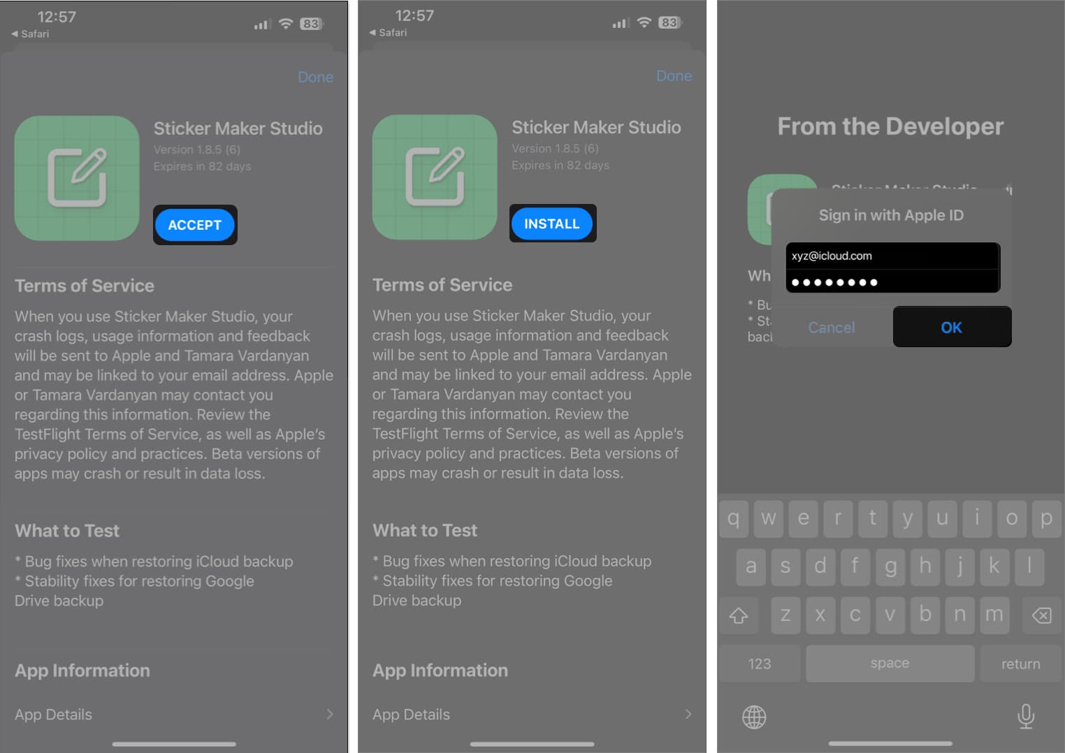 TestFlight tap Accept Install