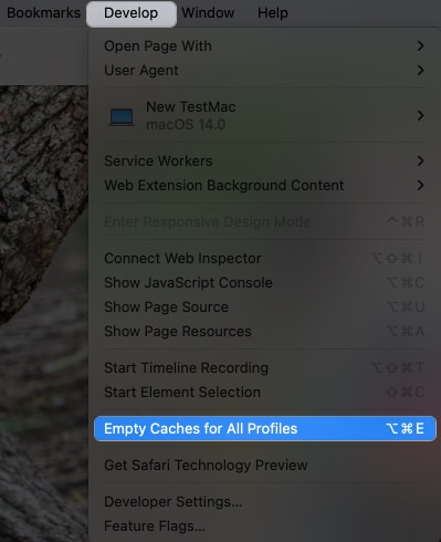 Click Develop Empty Caches for All Profiles in Safari
