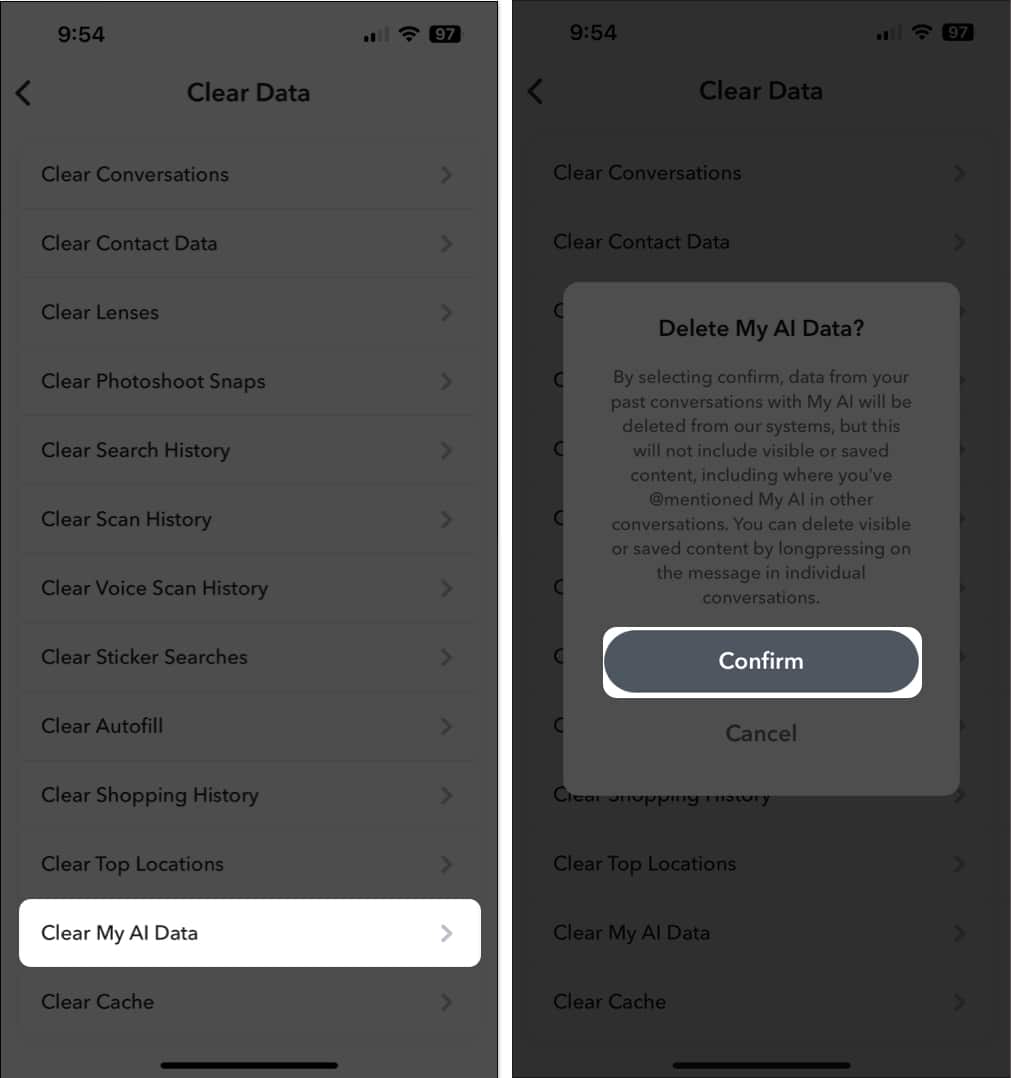 Tap Clear My AI Data Confirm