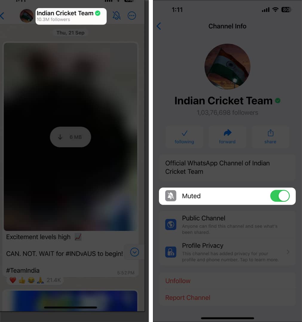 tap channel name toggle on muted in WhatsApp iPhone