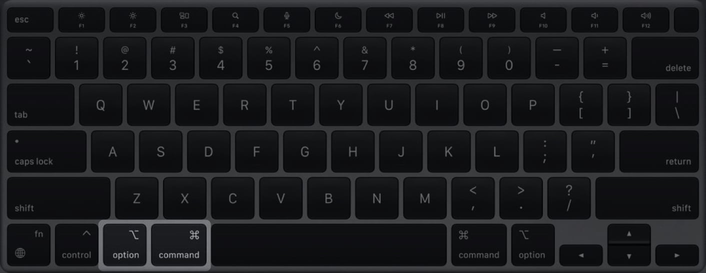 press option command