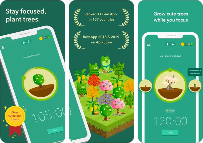 Forest Focus Productivity