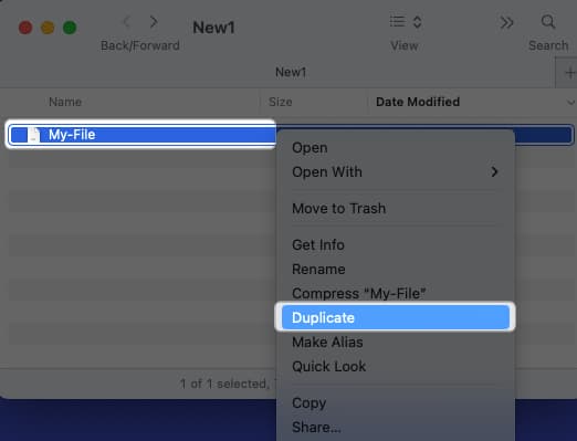 Select file right click and select Duplicate
