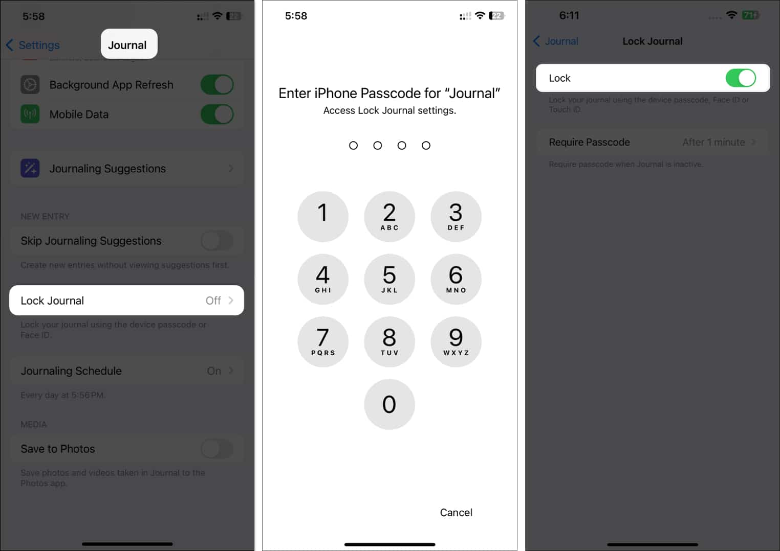 Go to journal select Lock Journal enter passcode and toggle on Lock