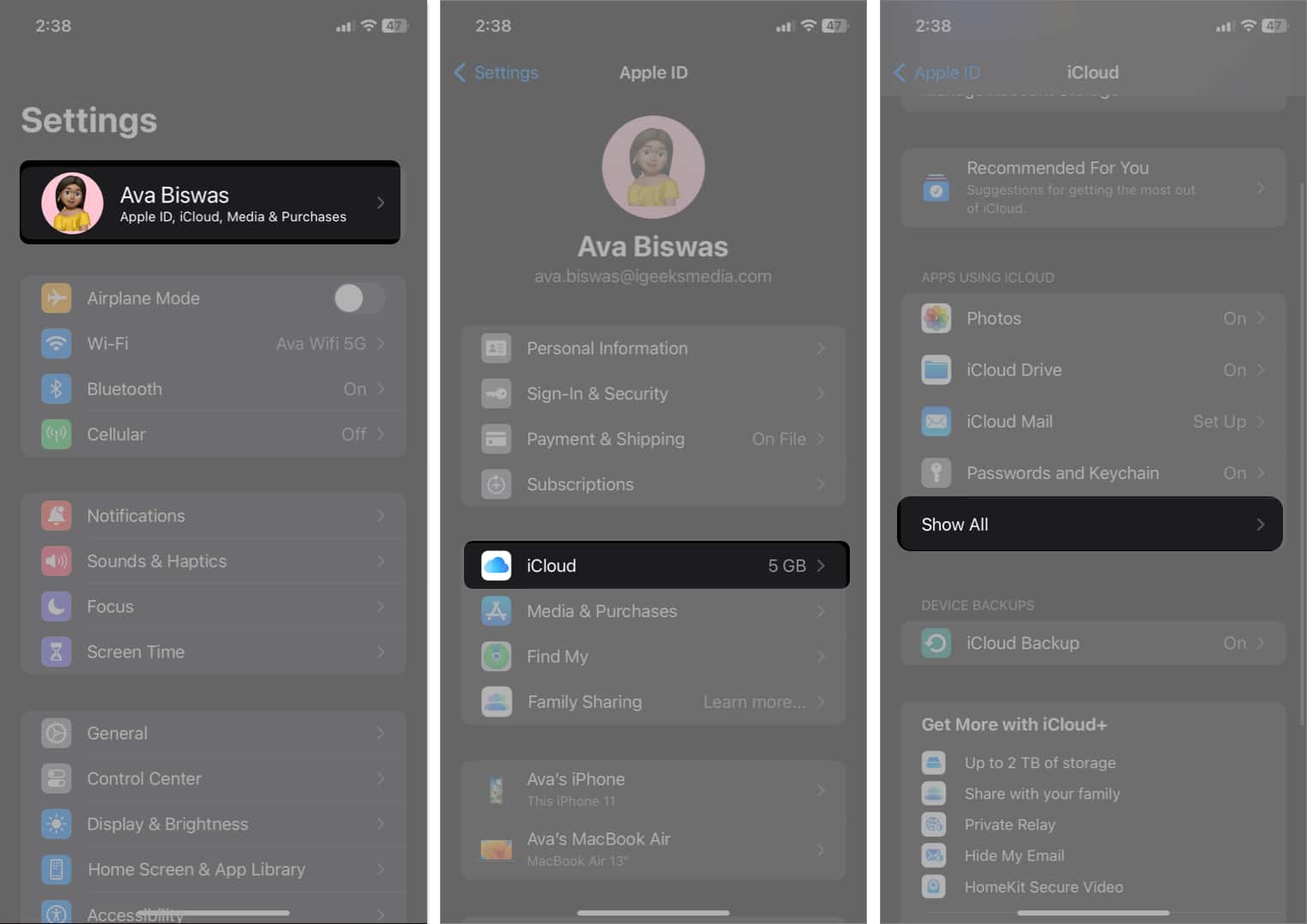 tap your profile tap iCloud tap Show all in Settings