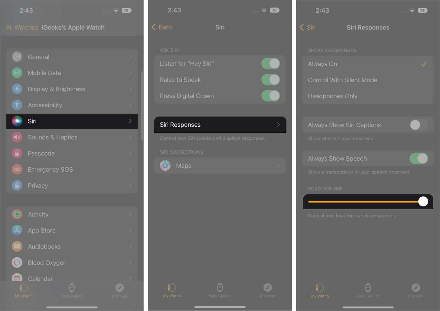 Check Siri volume on iPhone