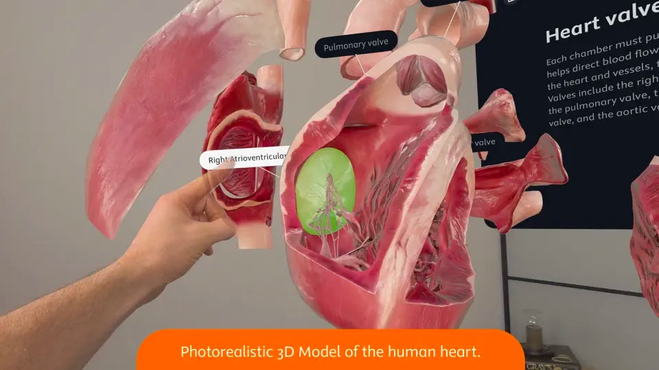 Complete HeartX   realistic 3D human heart on Vision Pro