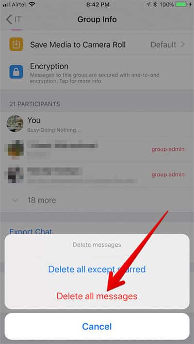 Delete Individual Group Chat History In WhatsApp