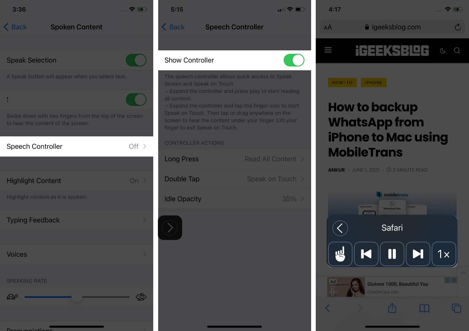 Enable Speech Controller to read text from Safari on iPhone