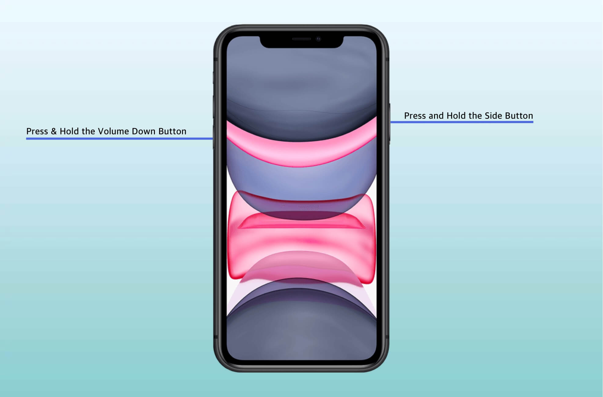 Press  Hold the Side Button Volume Down Button on iPhone 11