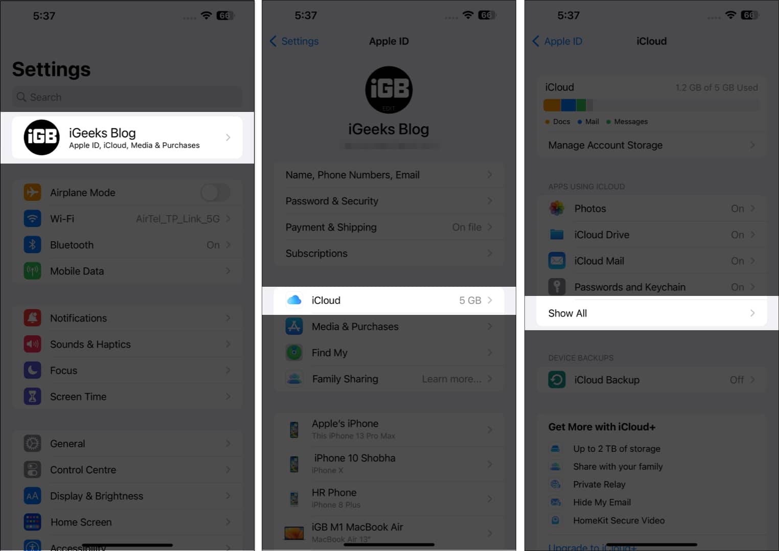 Tap on your Profile iCloud and Show All on iPhone