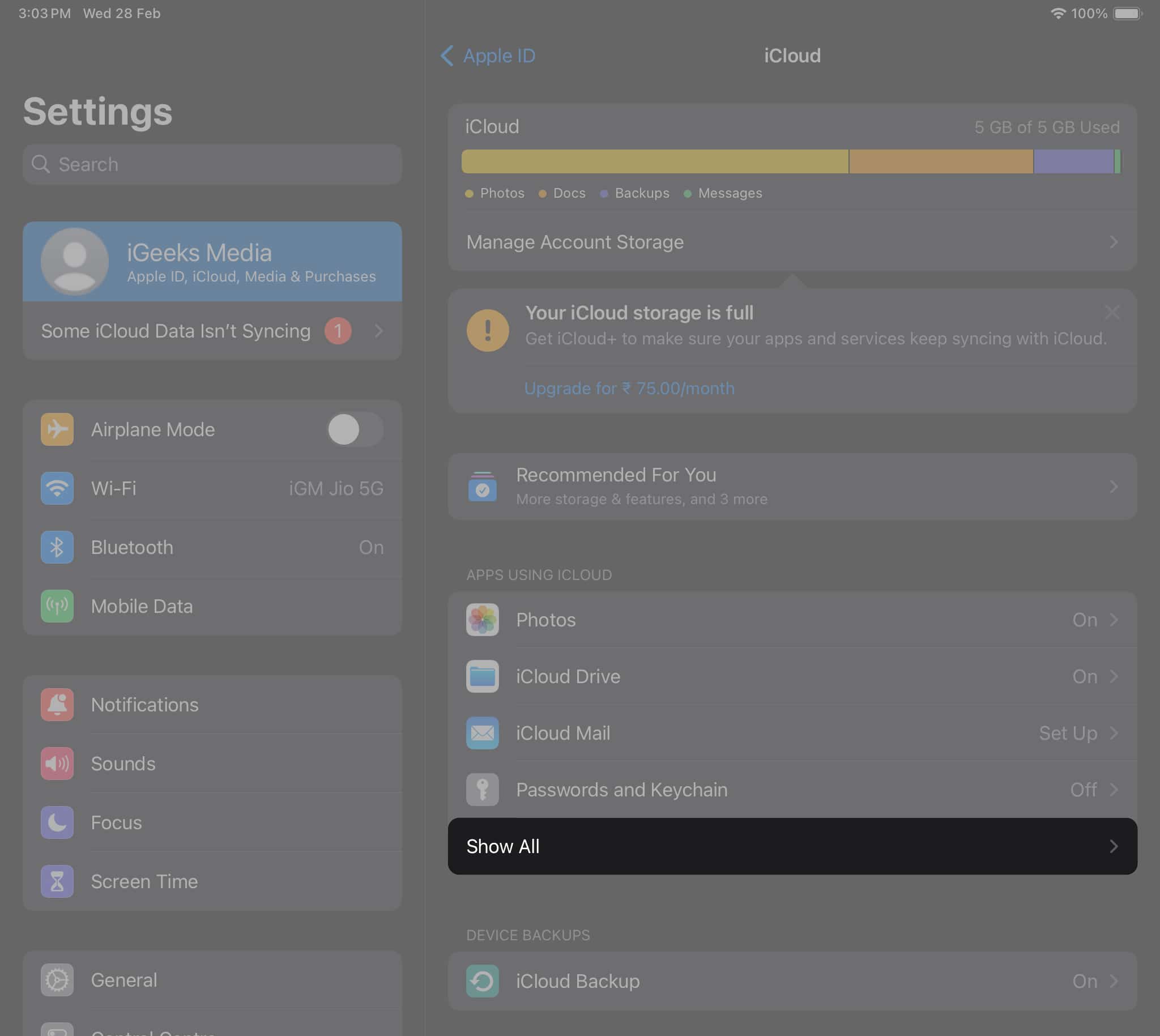 Tap the Show All option in iPad Settings