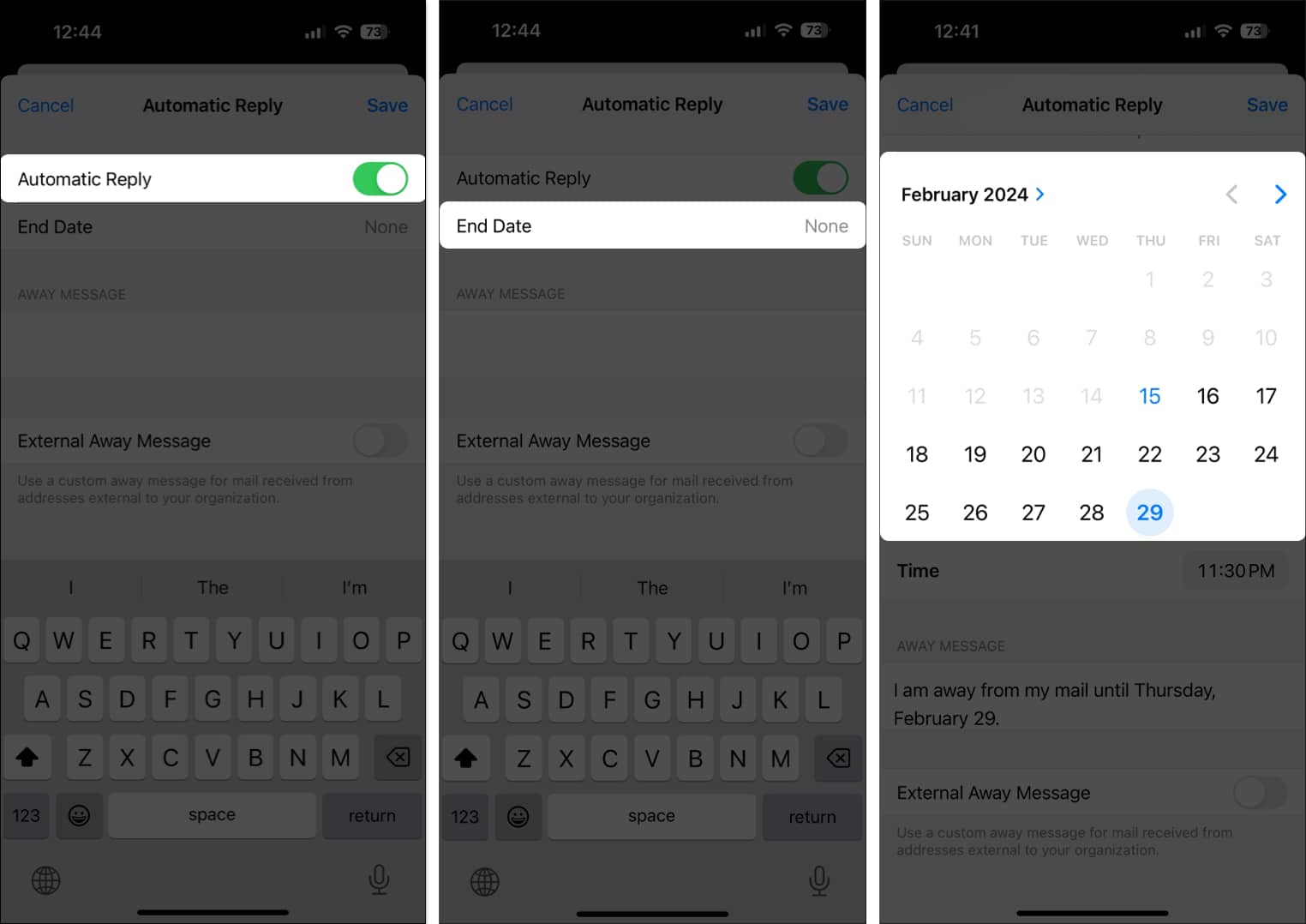 Toggle on Automatic Reply then select the date and choose the date range