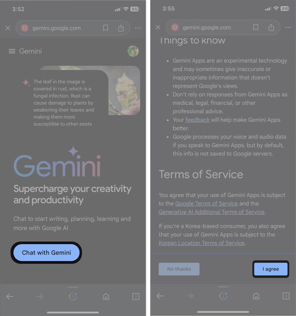 go to gemini website tap chat with gemini i agree on iphone browser