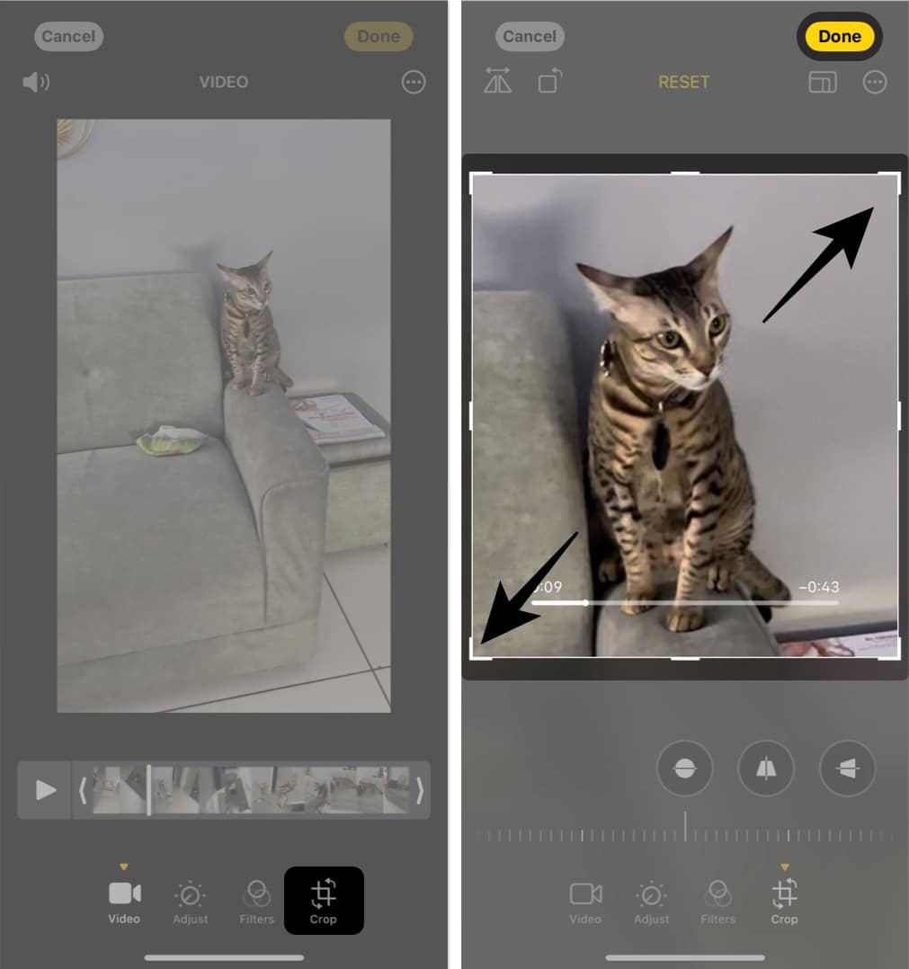 zoom into videos while editing them
