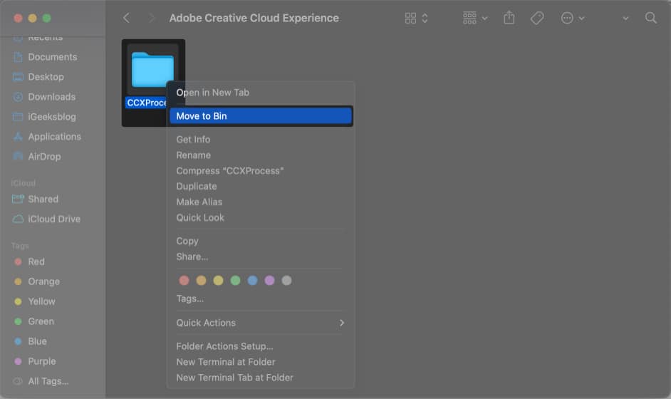 Right click on CCXProcess folder and select Move To Bin