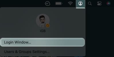 Access user control and choose login window