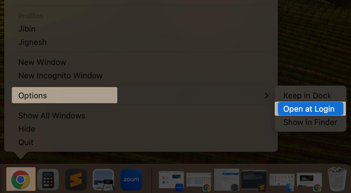 De select Open at login from App Options