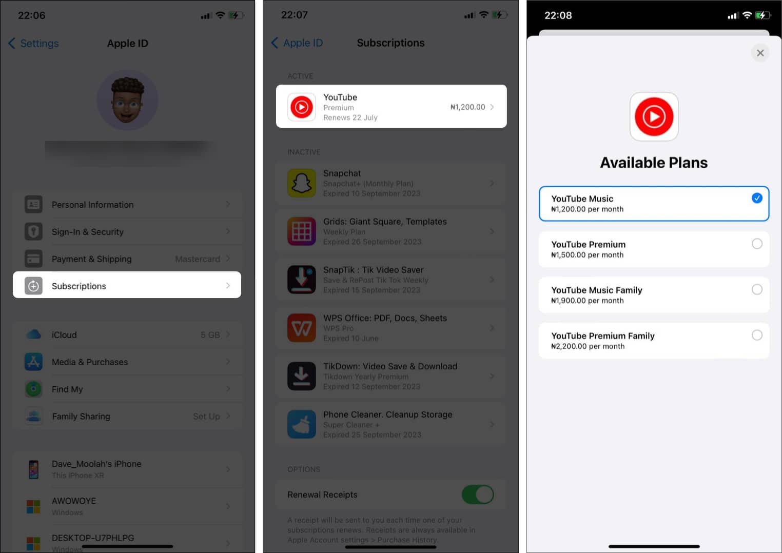 Subscription plans for YouTube in iPhone Settings app