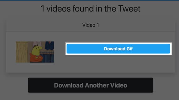 Download GIF button on the Twitter Video Downloader website to download a GIF on the desktop