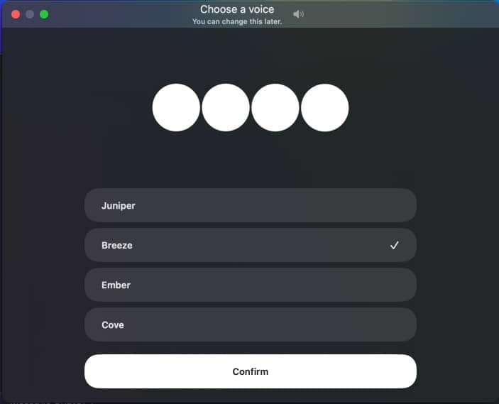 Confirm your voice in ChatGPT for voice command