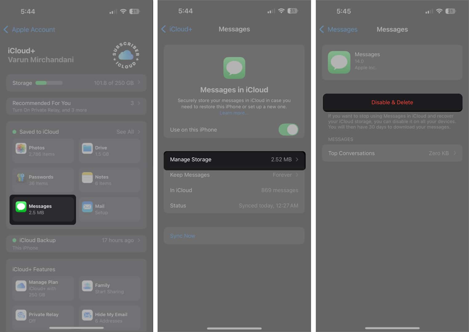 Disable  Delete option for Messages under Manage Storage in iCloud setting on an iPhone