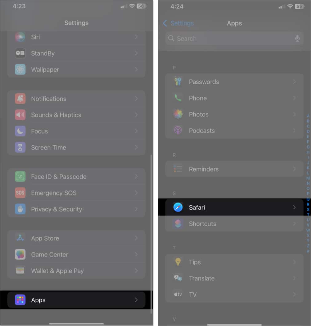 Safari option in iPhone Settings app