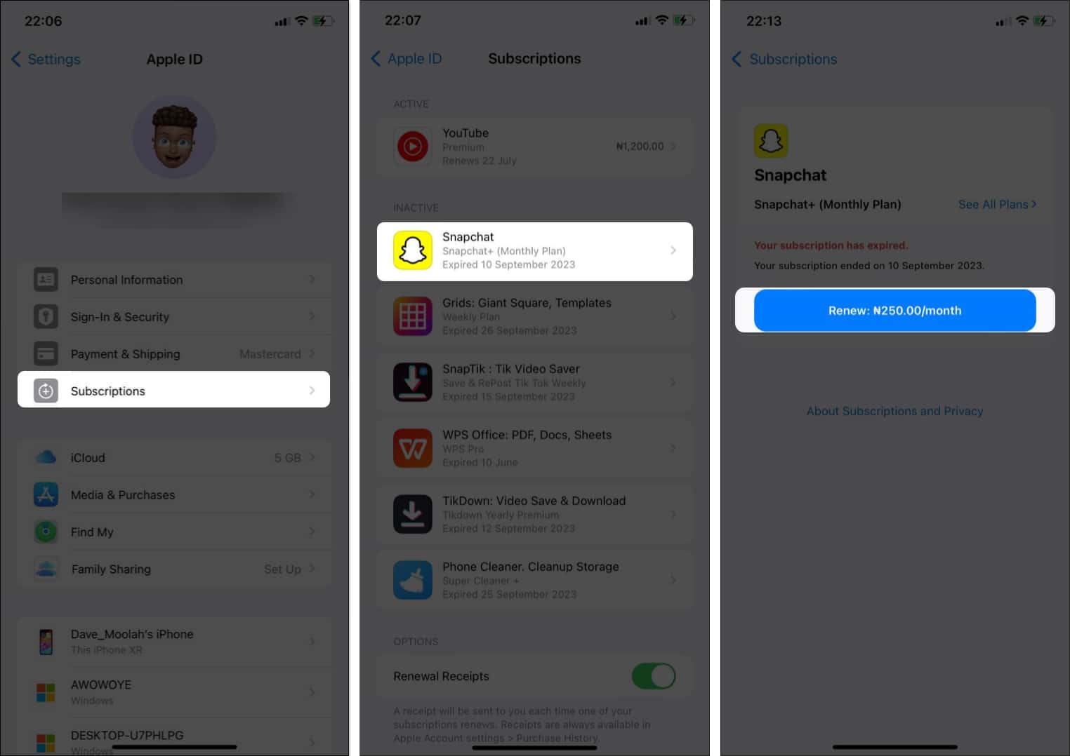 Renew option for Snapchat subscription on iPhone Settings app