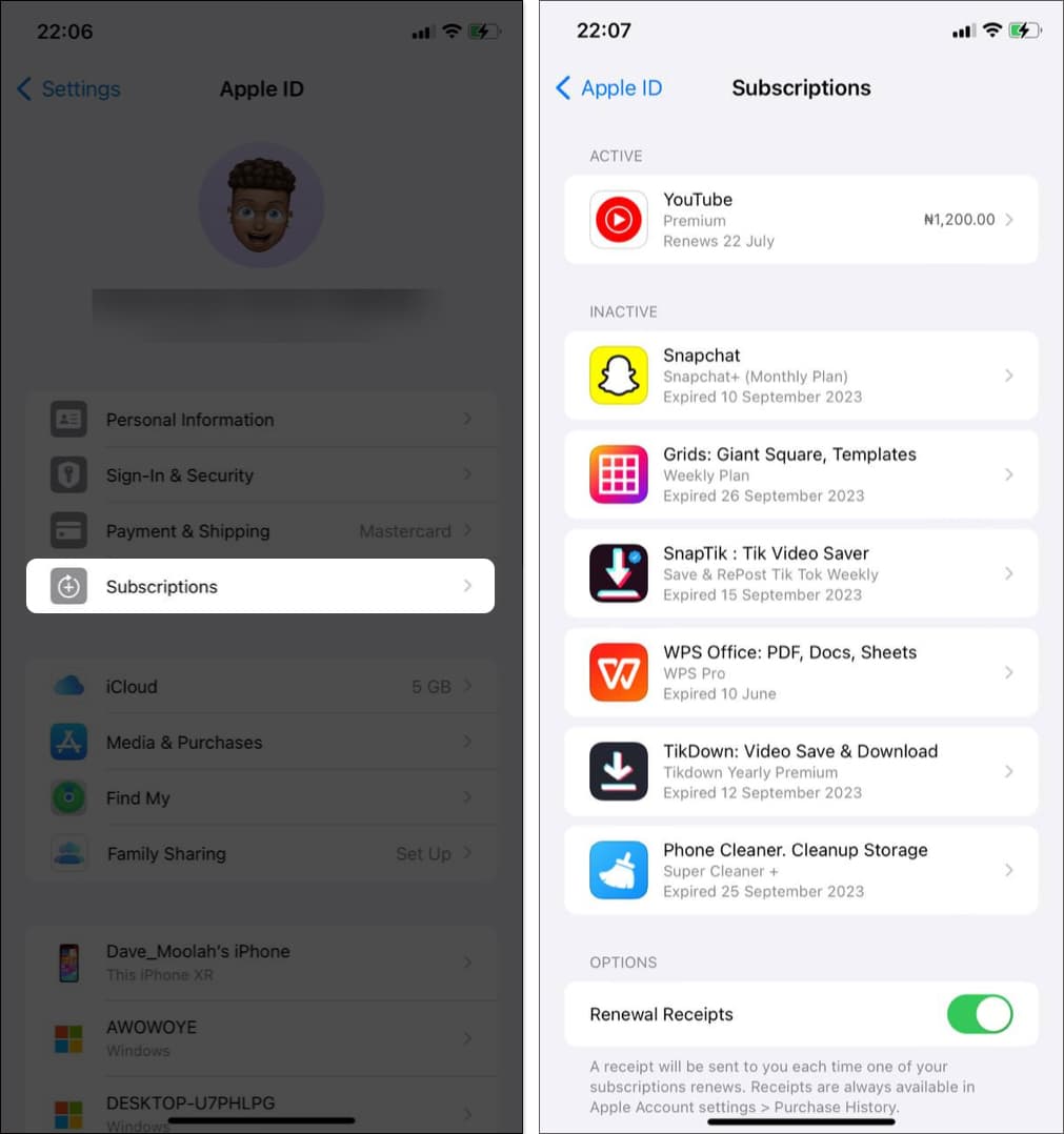 Subscriptions page on iPhone Settings